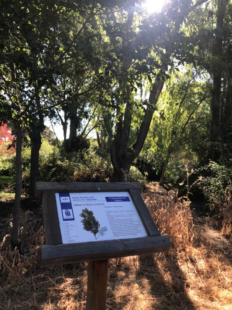 walking near me in Parque de las Cárcavas in winter