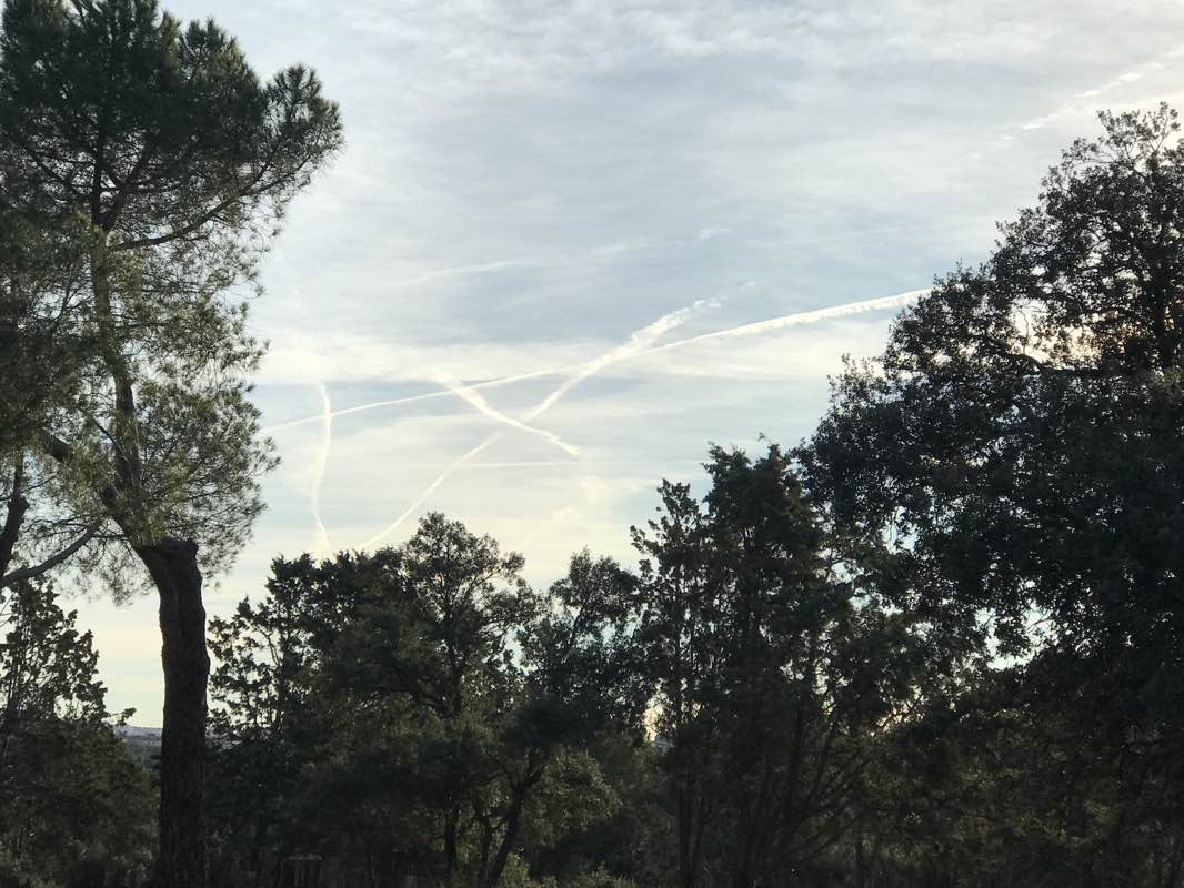 walking near me in Parque Prados de Torrejón in winter