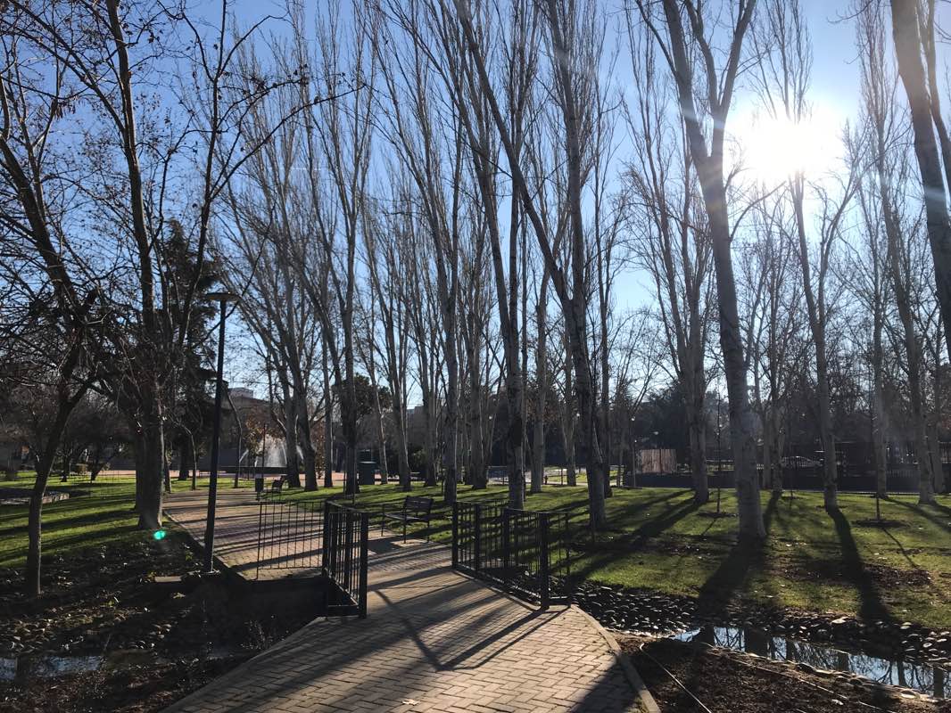walking near me in Parque Alcalde José Martín-Crespo Díaz (antes Parque de las Minas) in winter