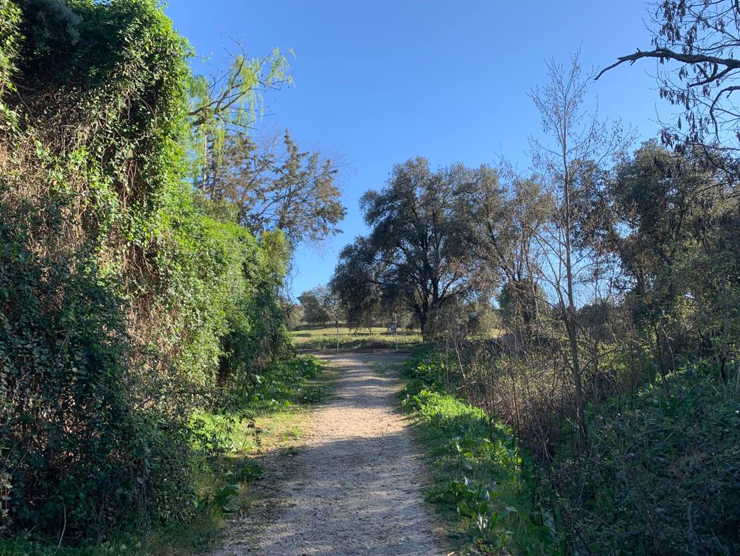 walking near me in Pradera José Mera Urtasun in winter