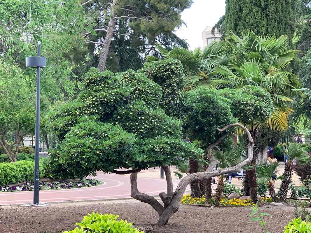 walking near me in Parque Cerro de los Perdigones in winter