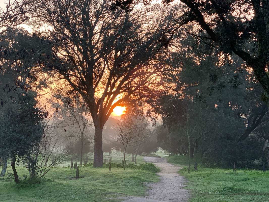 walking near me in Parque Vista Alegre in winter