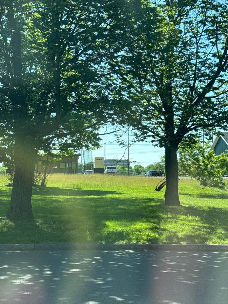 walking near me in Genesee Valley Park in summer