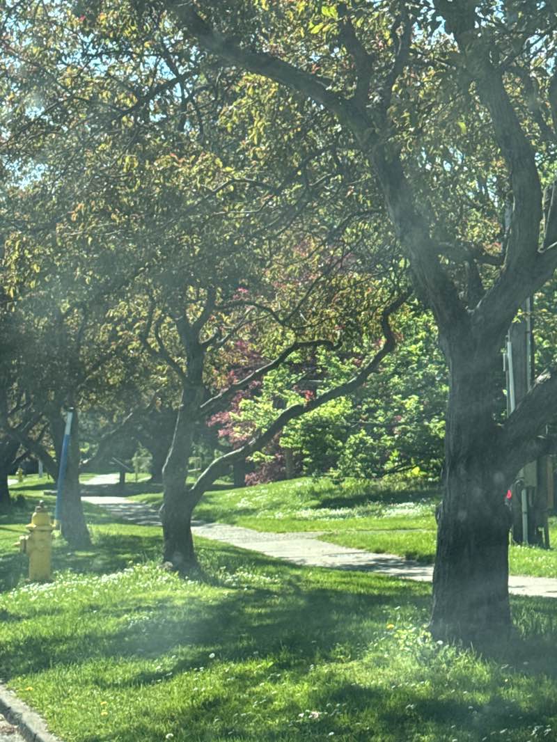 walking near me in Highland Park in summer