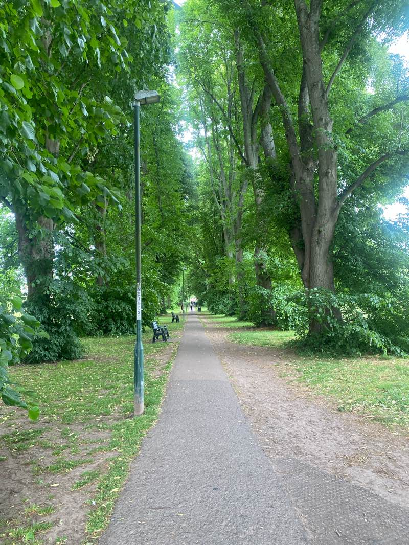 walking near me in Chippenham Park in summer
