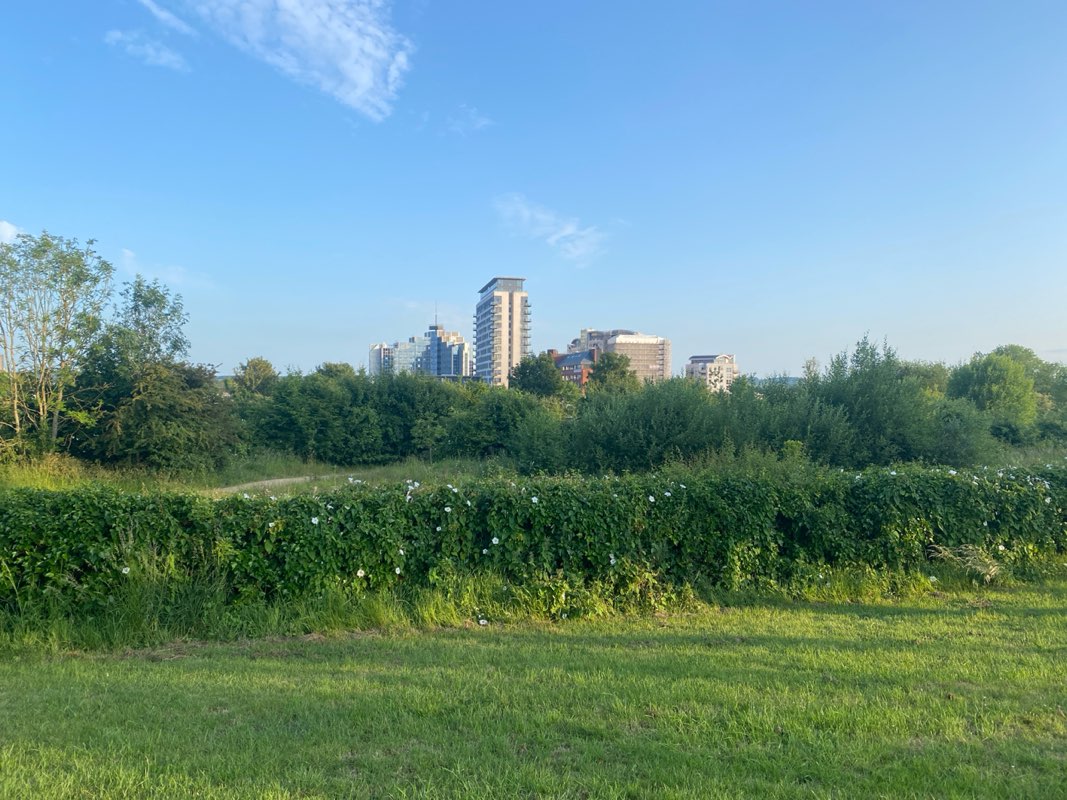 walking near me in Lyford Road Recreation Ground in summer