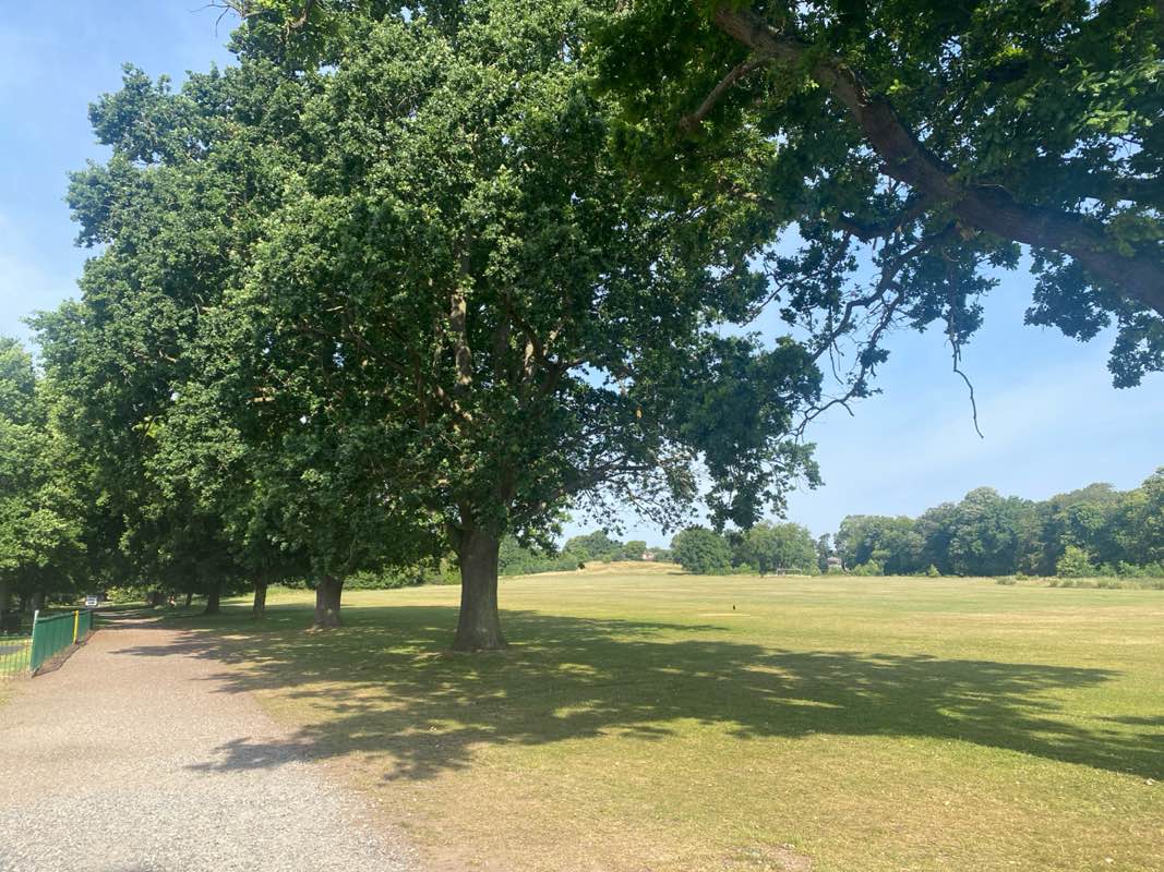 walking near me in Bourne Park in summer