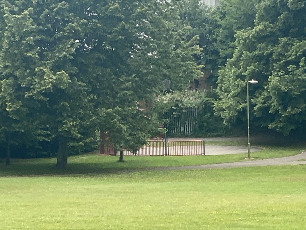 walking near me in Brighton Hill Park in summer