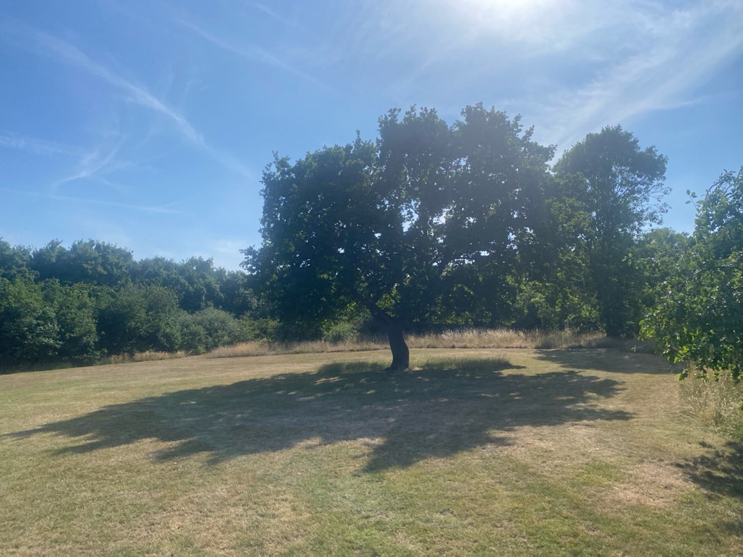 walking near me in Scott Park in summer