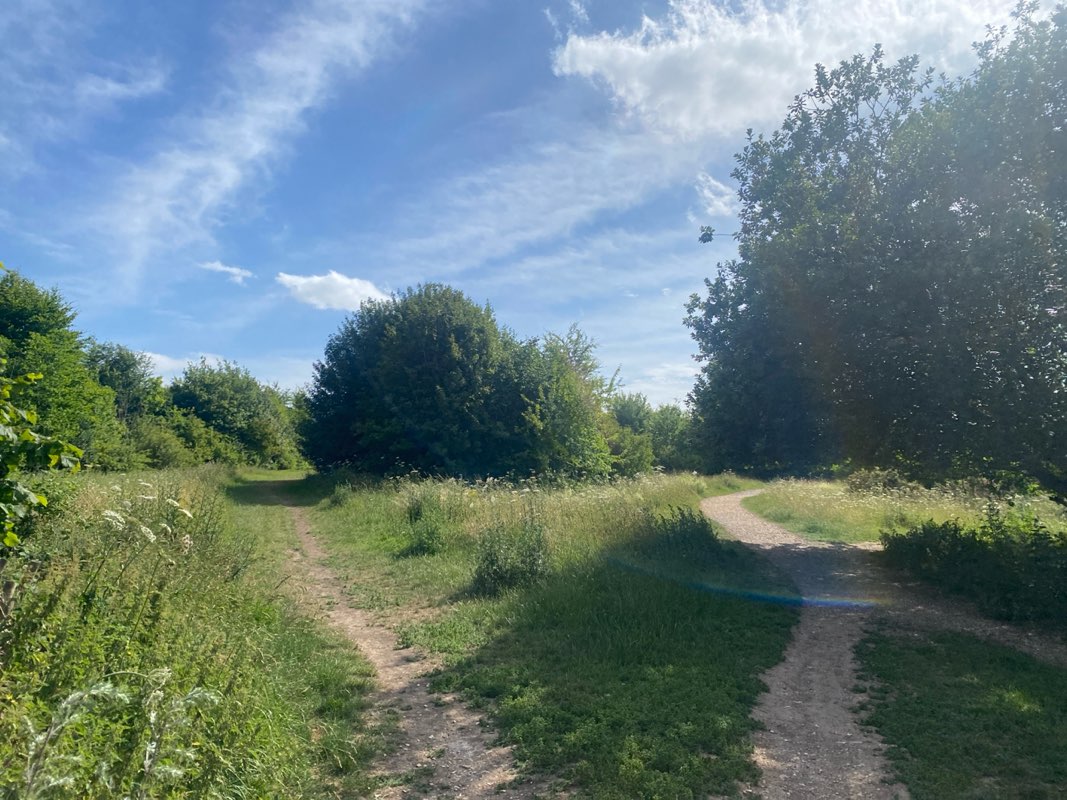 walking near me in Old Down Park in summer