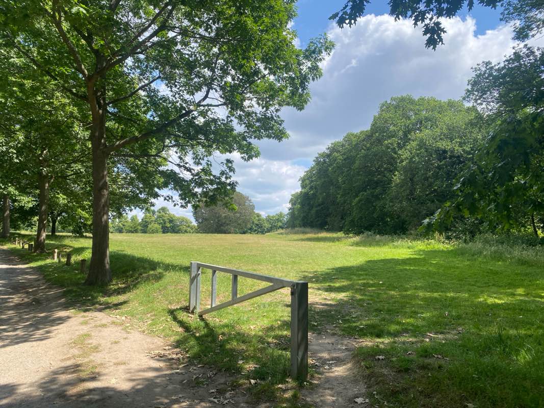 walking near me in Chantry Park in summer