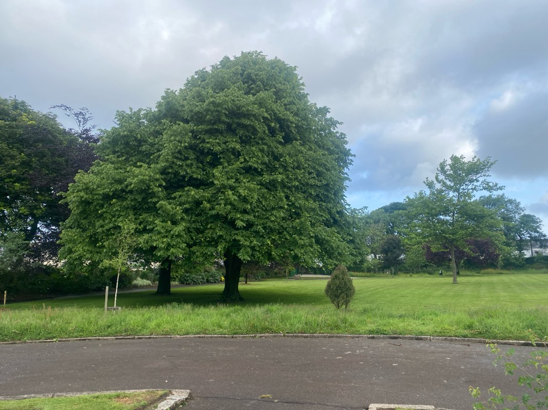 walking near me in Victoria Park in summer