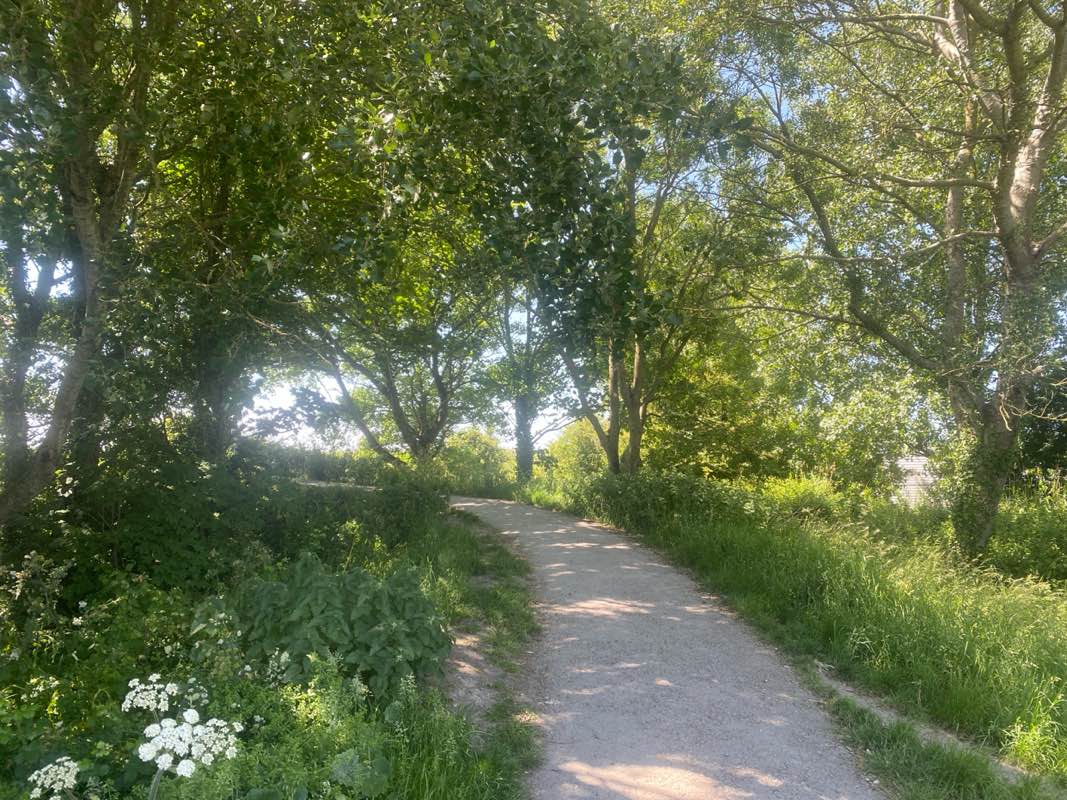 walking near me in Apex Park in summer
