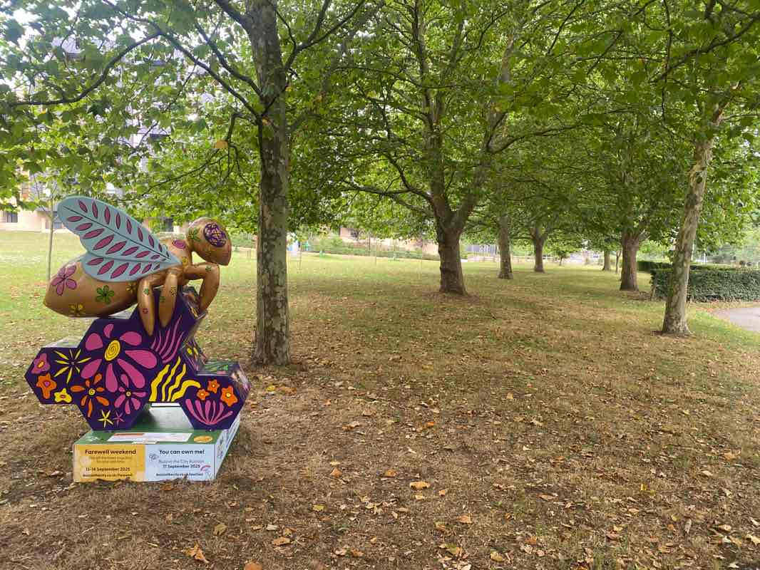 walking near me in Frank Whitmore Green in autumn