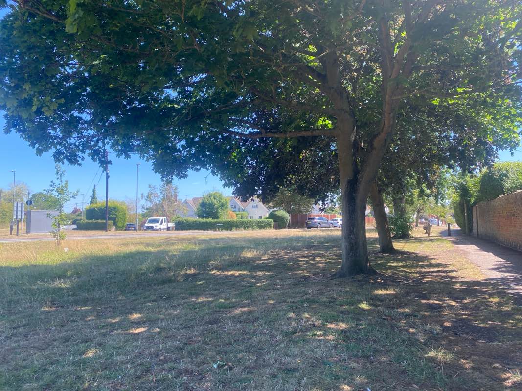 walking near me in The Green in summer