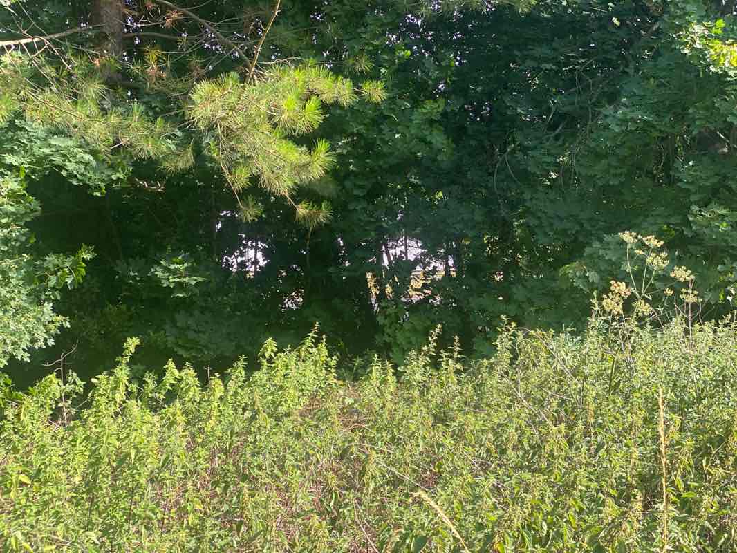 walking near me in Hatch Warren Park in autumn