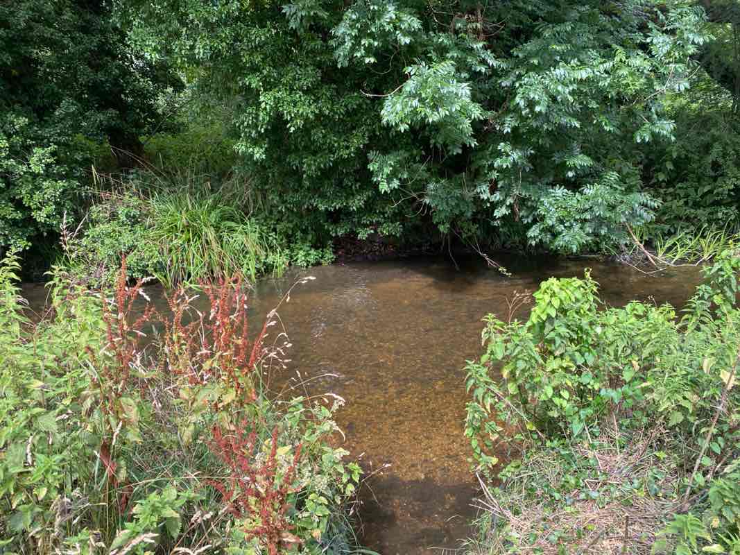 walking near me in River Walk in summer