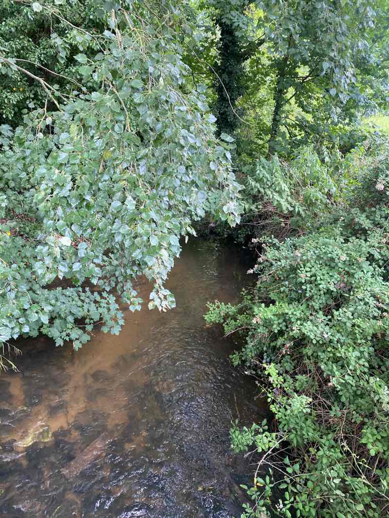 walking near me in River Walk in summer