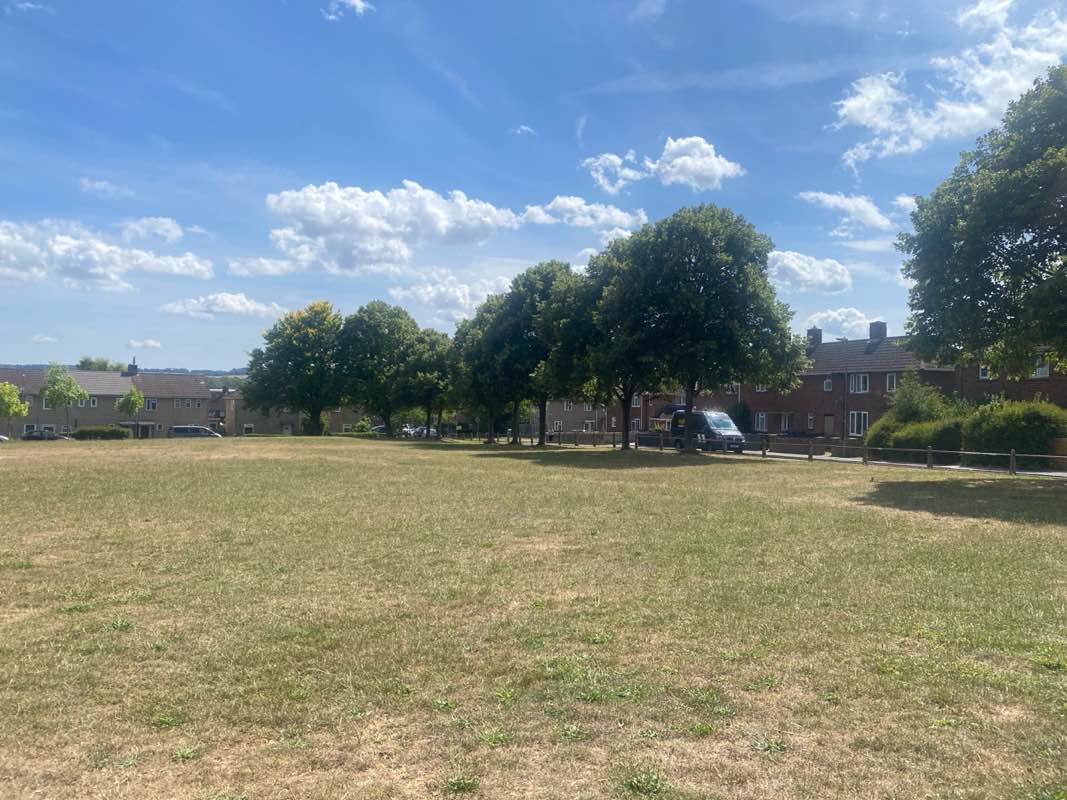 walking near me in Kings Road Open Space in summer