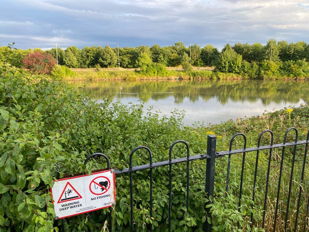 walking near me in Holst Avenue Park in summer