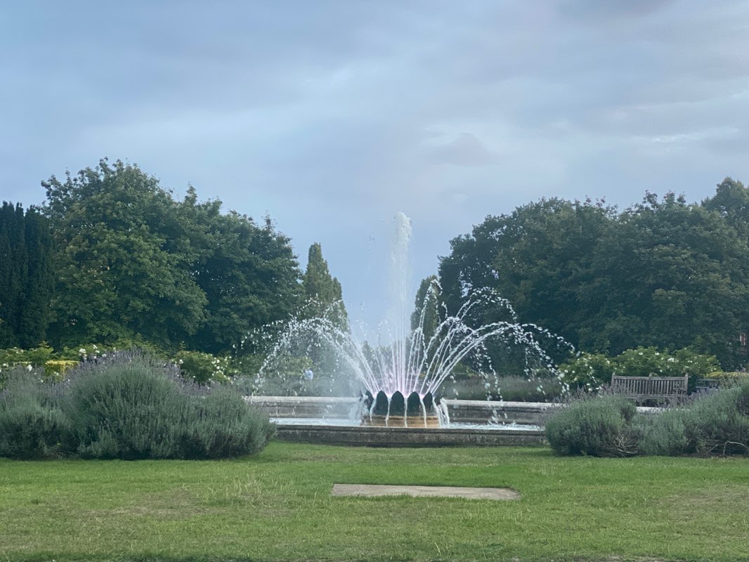 walking near me in The Campus Parkway in autumn