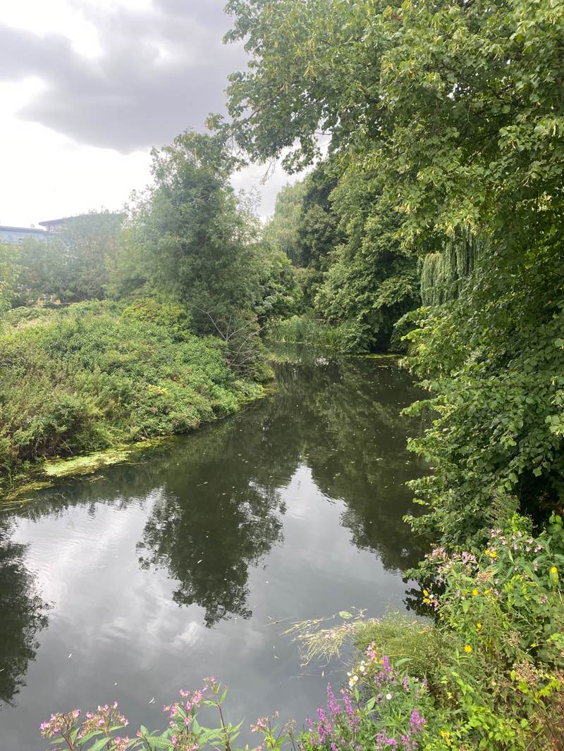 walking near me in Central Park in autumn
