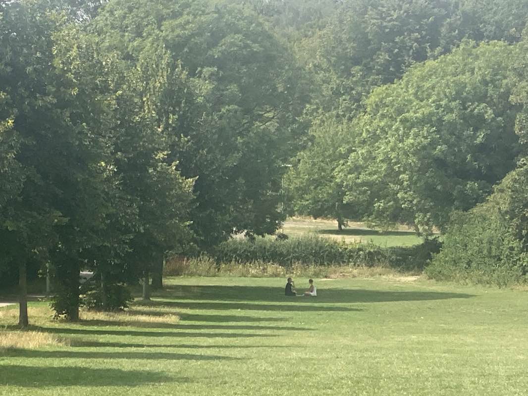 walking near me in Kingsmill Road Open Space in autumn