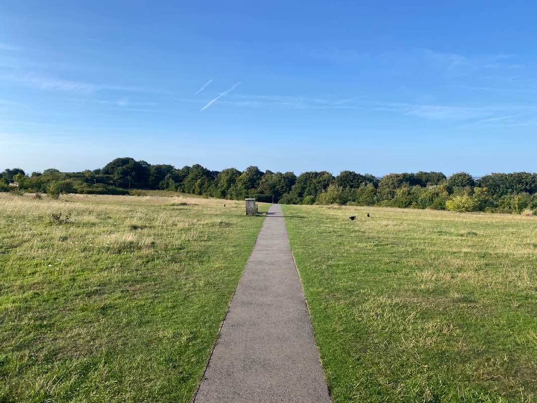 walking near me in Beggarwood Woodland Park in autumn