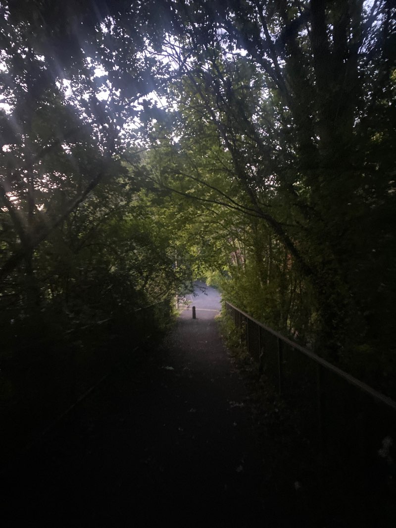 walking near me in West Ham Park in autumn