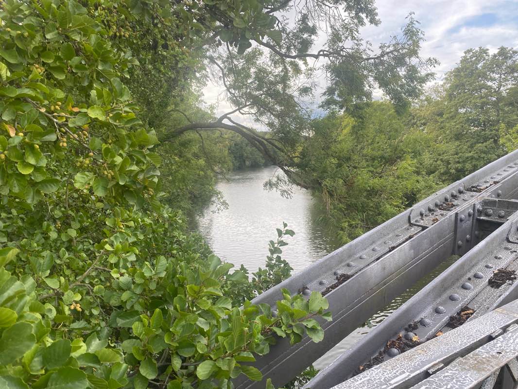 walking near me in Darley Park in autumn