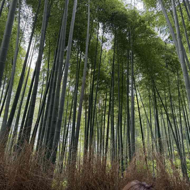 ゲンさん⚾️ StayHome🏠 post 2