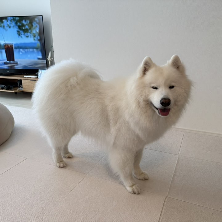 ゲンさん⚾️ StayHome🏠 post 1