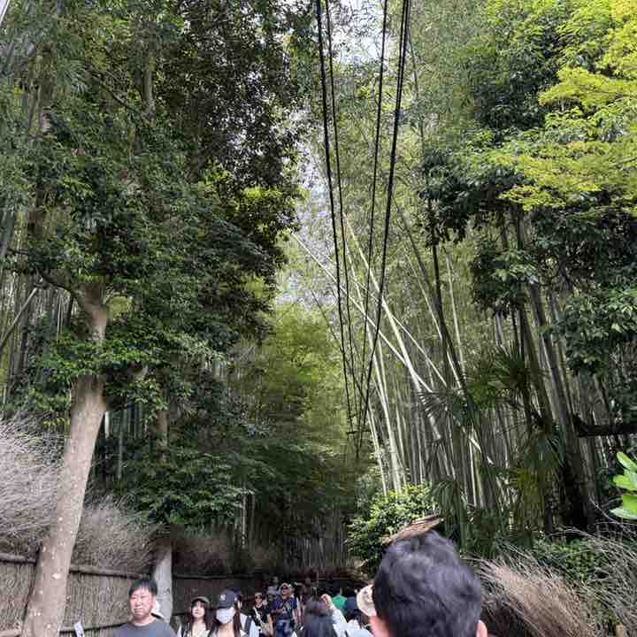 ゲンさん⚾️ StayHome🏠 post 1