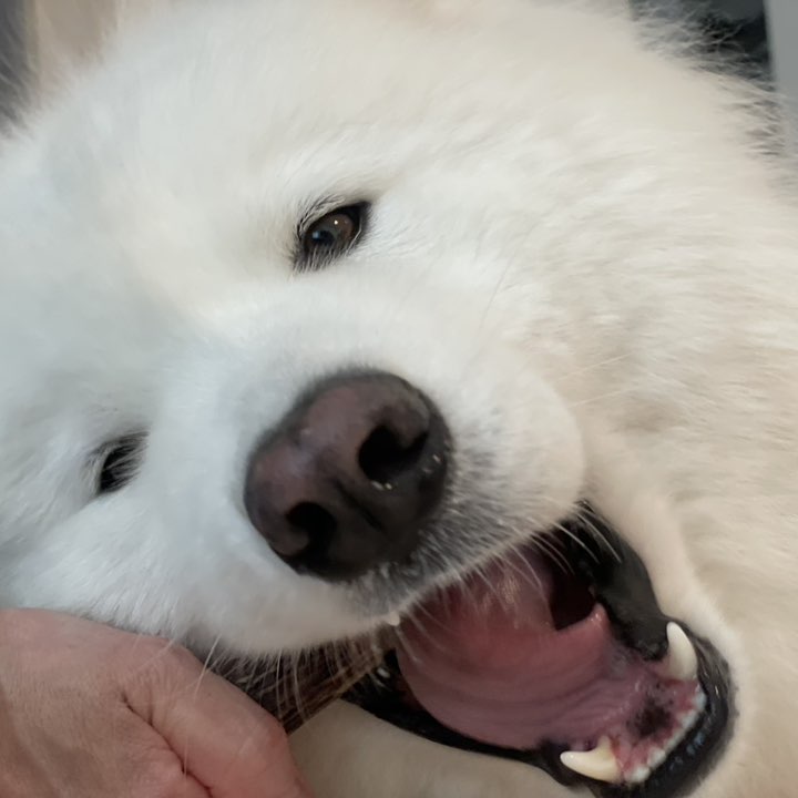 ゲンさん⚾️ StayHome🏠 post 2