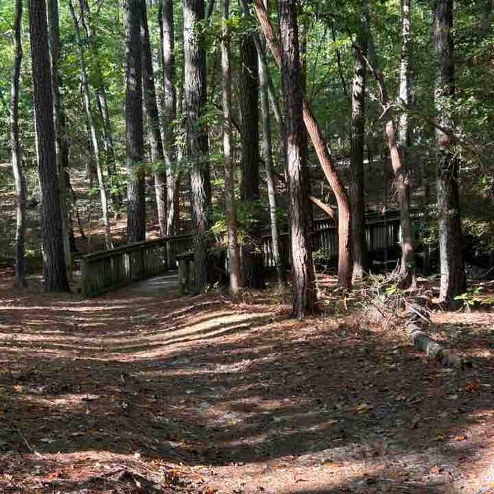 Salt Life and Fitness 🏃🏻‍♀️ MoparChic ✨(Star) ✨ post image