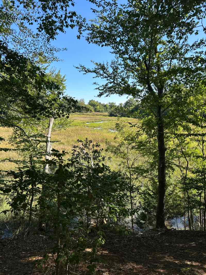 walking near me in Windsor Castle Park in autumn
