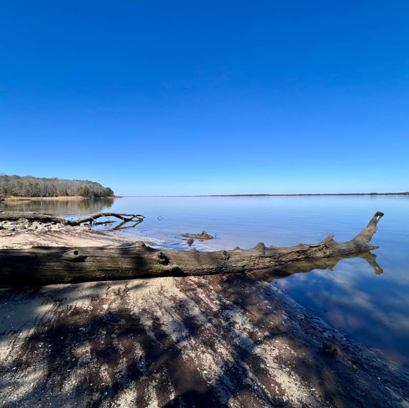 Salt Life and Fitness 🏃🏻‍♀️ MoparChic ✨(Star) ✨ post image