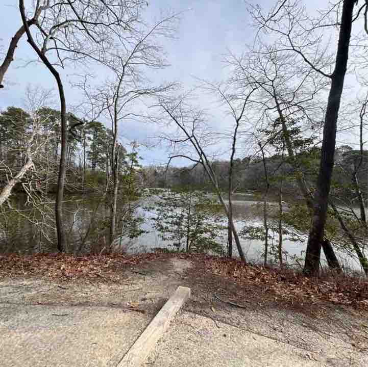 MoparChic ✨(Star) ✨ post 3