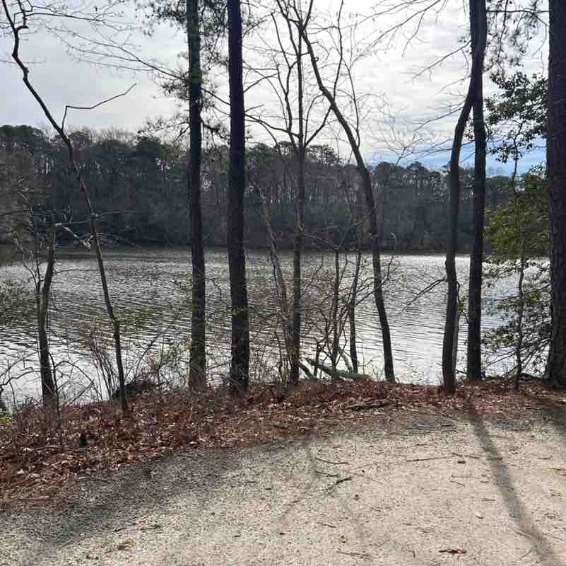 MoparChic ✨(Star) ✨ post 2