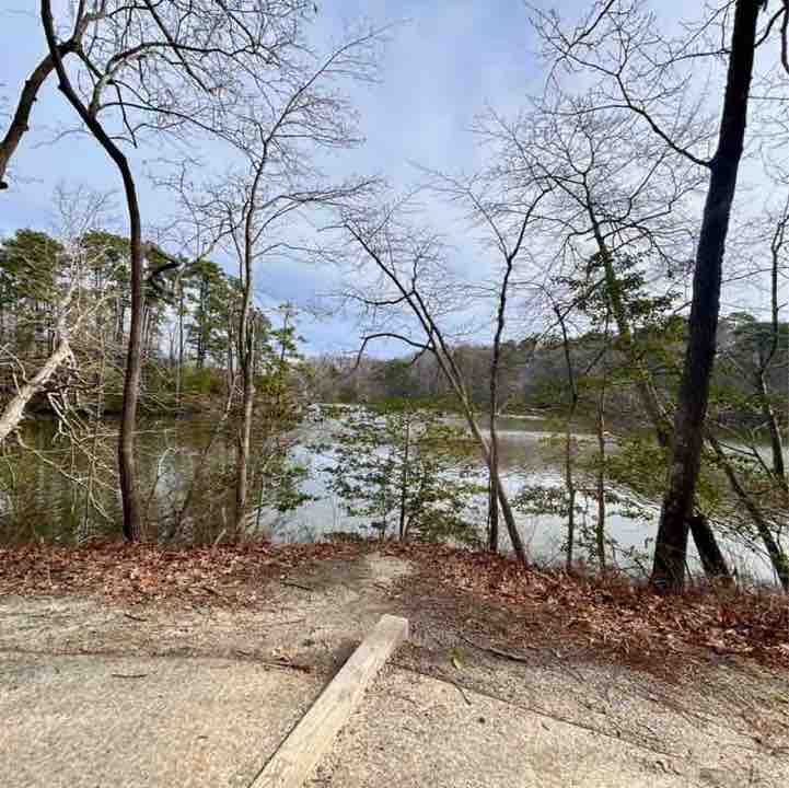 MoparChic ✨(Star) ✨ post 2