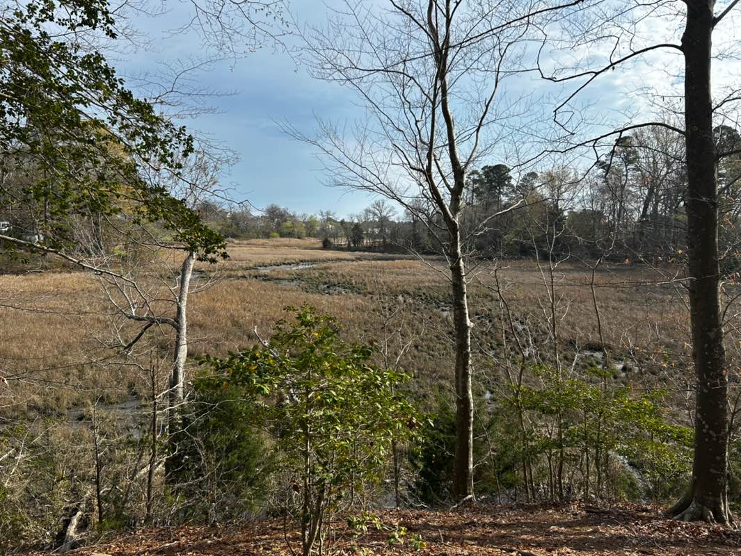 walking near me in Windsor Castle Park in spring