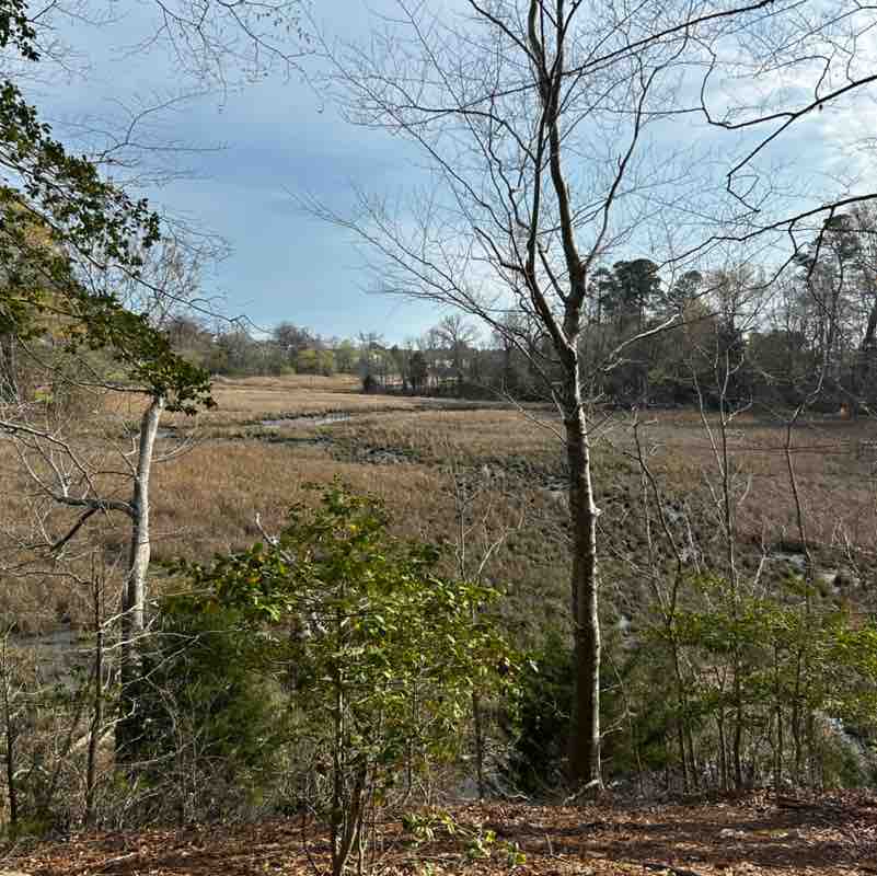 MoparChic ✨(Star) ✨ post 1