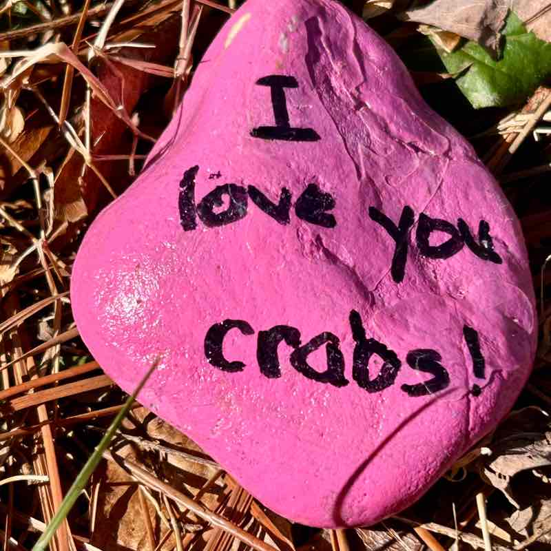 Salt Life and Fitness 🏃🏻‍♀️ MoparChic ✨(Star) ✨ post image