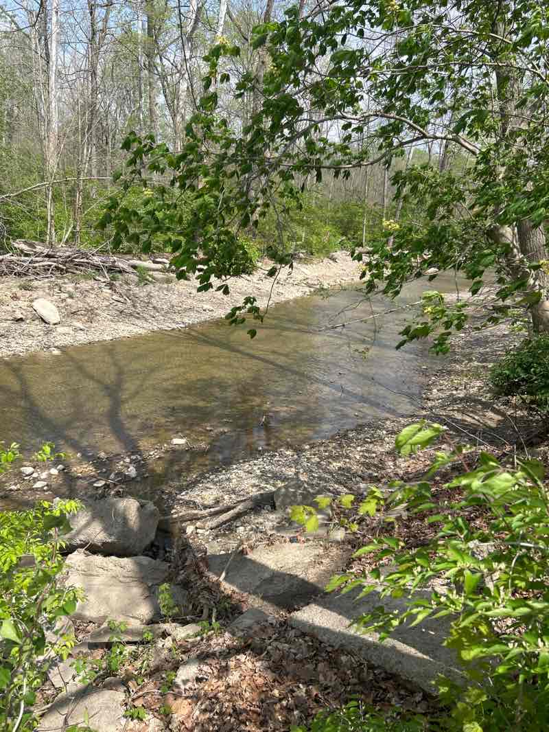 walking near me in Tawawa Park in spring