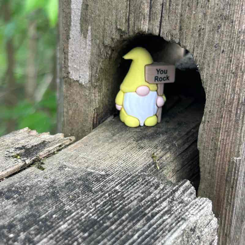 Salt Life and Fitness 🏃🏻‍♀️ MoparChic ✨(Star) ✨ post image