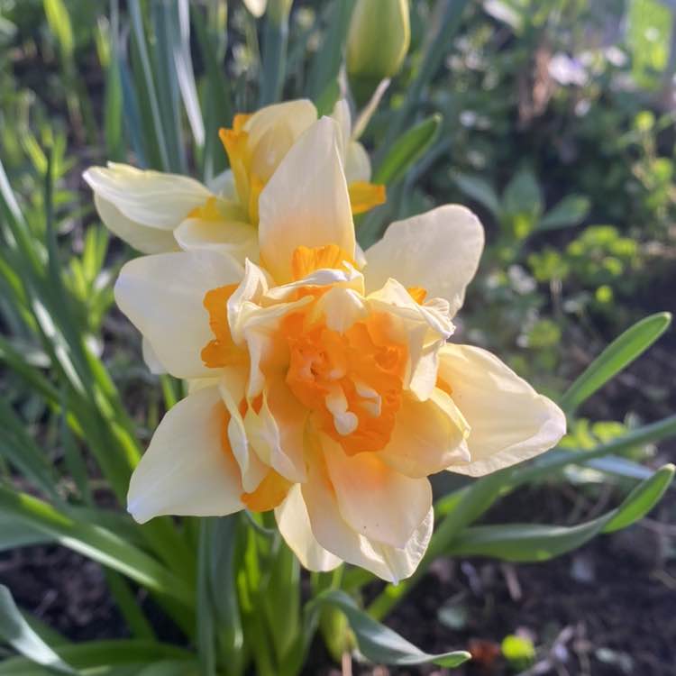 Ирина  🇷🇺 post 3