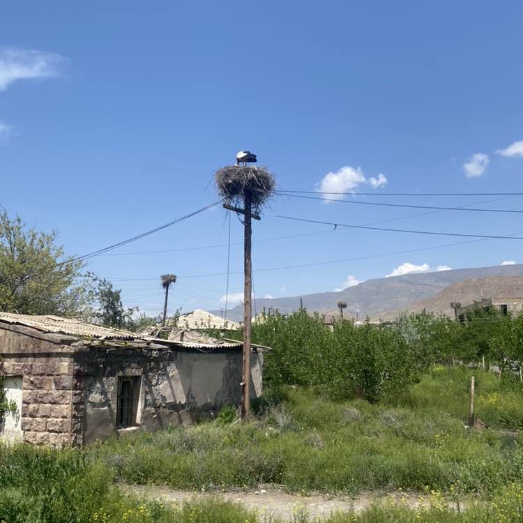 Ирина  🇷🇺 post 2