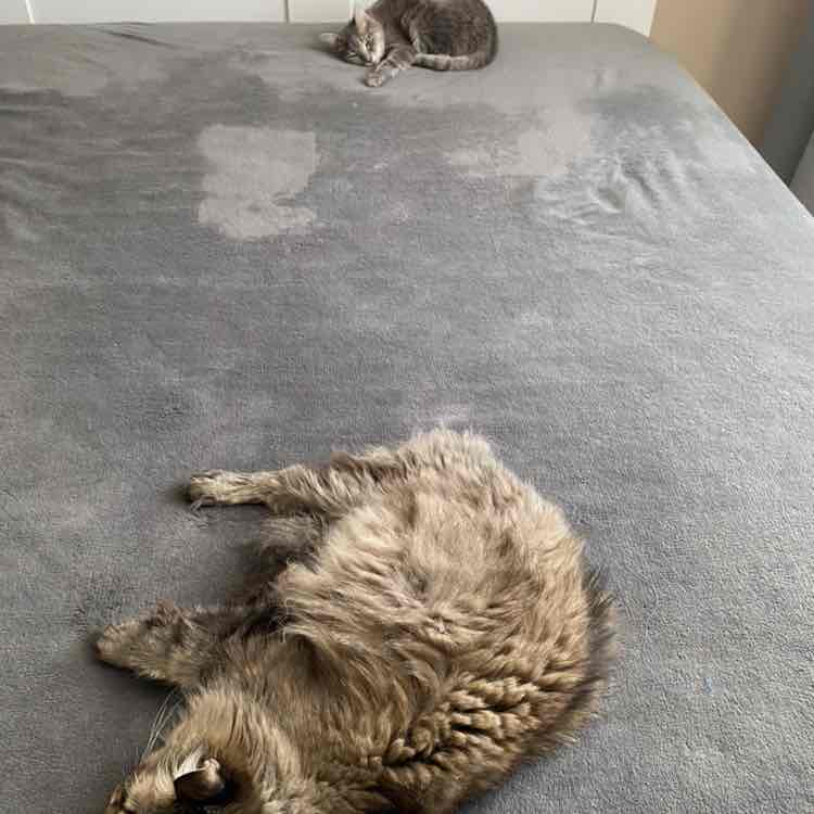 Ирина  🇷🇺 post 1