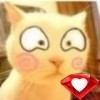 ^_^貓め。