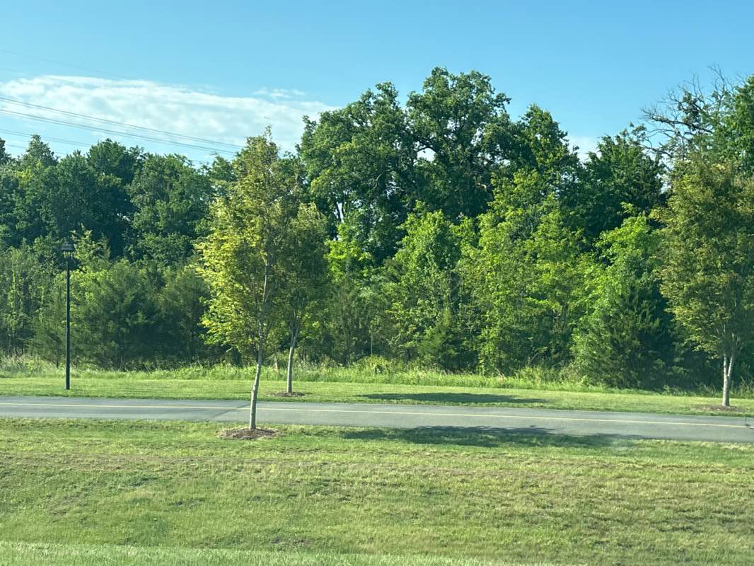walking near me in Philip A. Bolen Memorial Park in summer